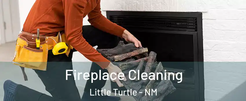 Fireplace Cleaning Little Turtle - NM