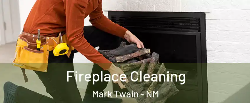 Fireplace Cleaning Mark Twain - NM