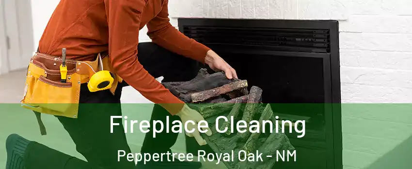 Fireplace Cleaning Peppertree Royal Oak - NM