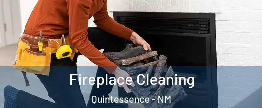Fireplace Cleaning Quintessence - NM
