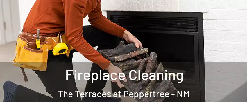 Fireplace Cleaning The Terraces at Peppertree - NM