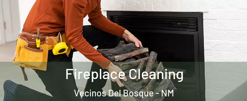 Fireplace Cleaning Vecinos Del Bosque - NM