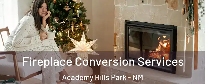 Fireplace Conversion Services Academy Hills Park - NM