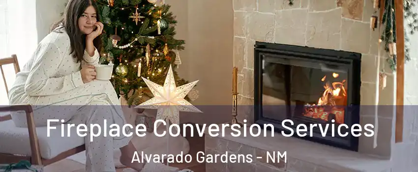 Fireplace Conversion Services Alvarado Gardens - NM