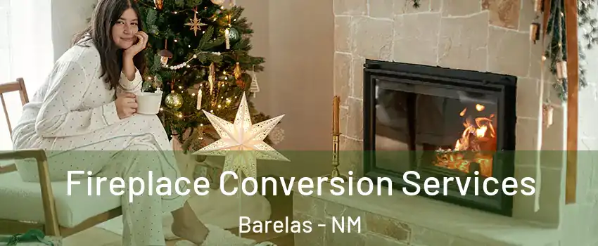 Fireplace Conversion Services Barelas - NM