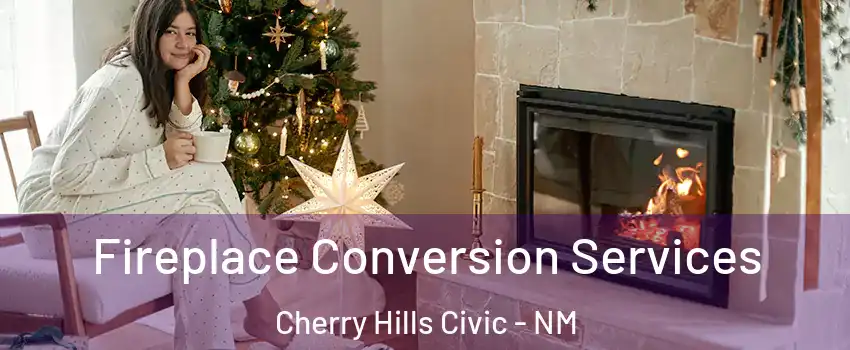 Fireplace Conversion Services Cherry Hills Civic - NM