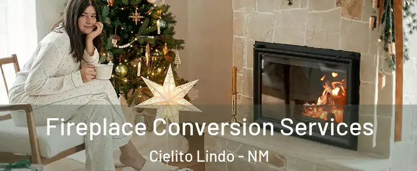 Fireplace Conversion Services Cielito Lindo - NM