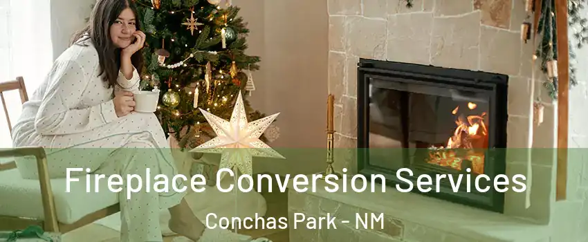Fireplace Conversion Services Conchas Park - NM