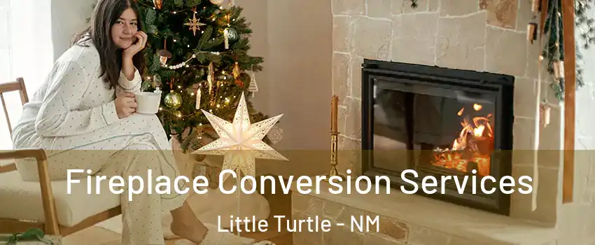 Fireplace Conversion Services Little Turtle - NM