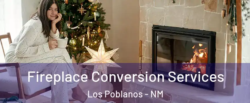 Fireplace Conversion Services Los Poblanos - NM