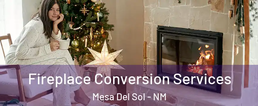Fireplace Conversion Services Mesa Del Sol - NM