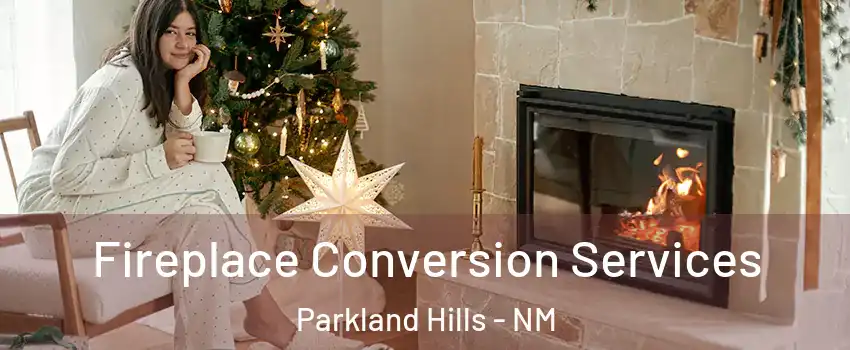 Fireplace Conversion Services Parkland Hills - NM