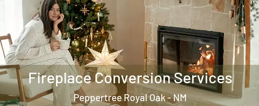 Fireplace Conversion Services Peppertree Royal Oak - NM
