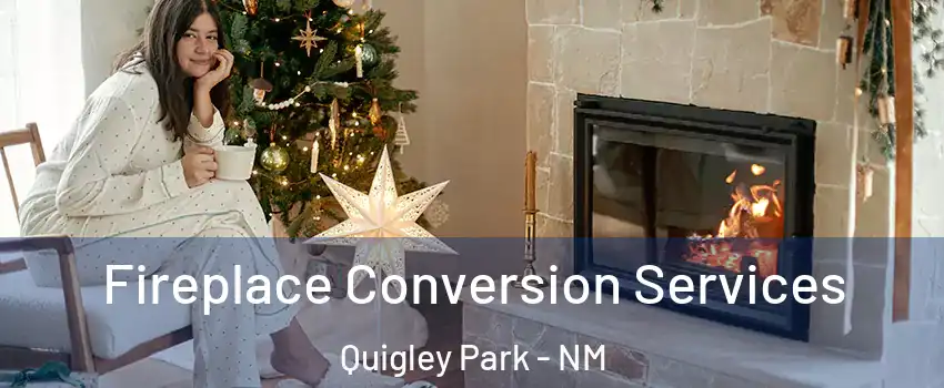 Fireplace Conversion Services Quigley Park - NM
