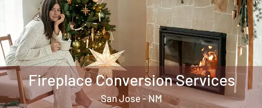 Fireplace Conversion Services San Jose - NM