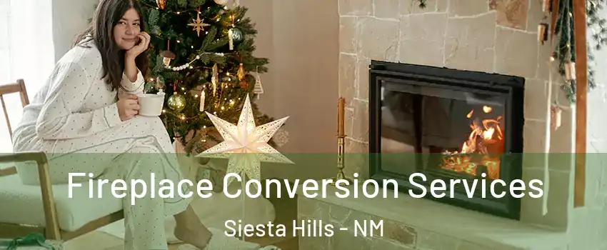 Fireplace Conversion Services Siesta Hills - NM