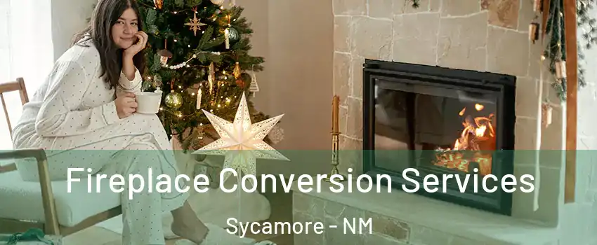 Fireplace Conversion Services Sycamore - NM
