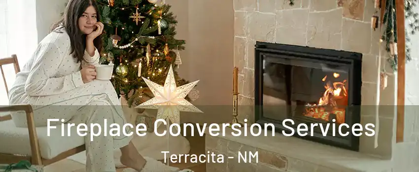 Fireplace Conversion Services Terracita - NM