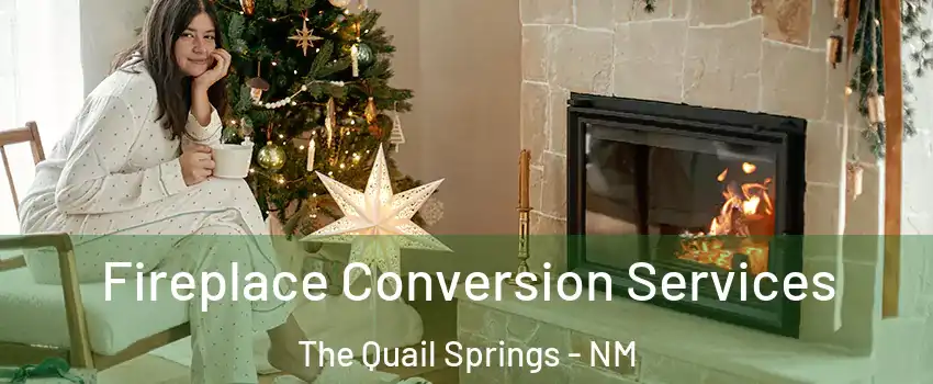 Fireplace Conversion Services The Quail Springs - NM