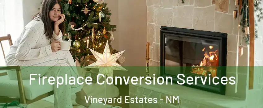 Fireplace Conversion Services Vineyard Estates - NM