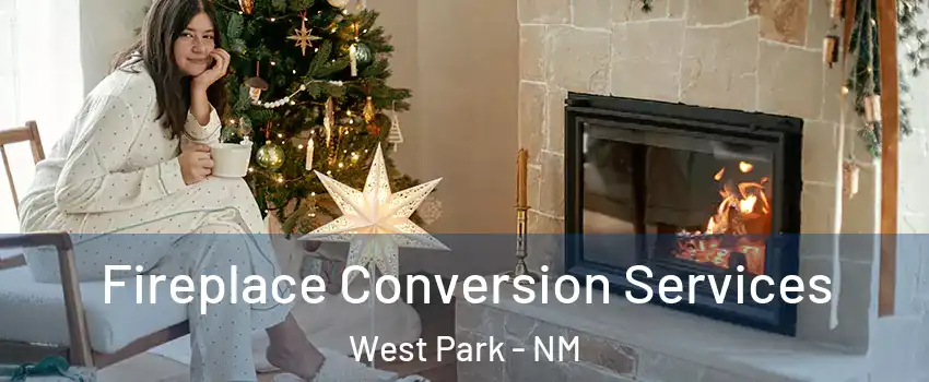 Fireplace Conversion Services West Park - NM