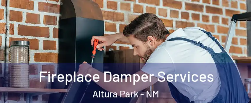 Fireplace Damper Services Altura Park - NM