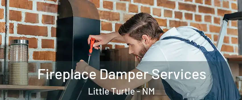 Fireplace Damper Services Little Turtle - NM