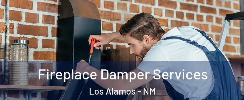 Fireplace Damper Services Los Alamos - NM