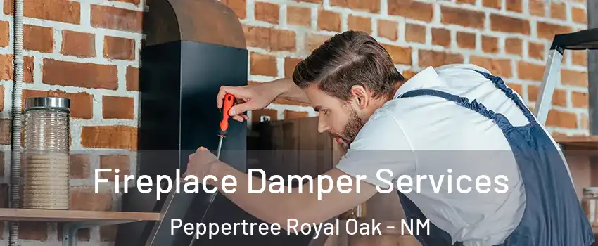 Fireplace Damper Services Peppertree Royal Oak - NM