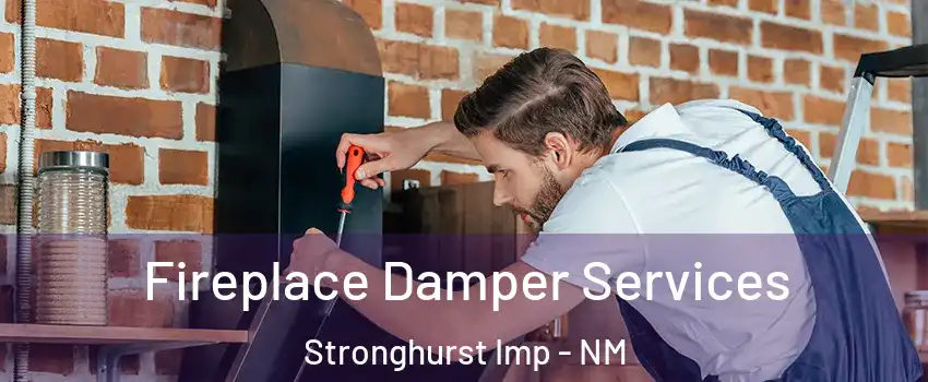 Fireplace Damper Services Stronghurst Imp - NM
