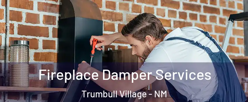 Fireplace Damper Services Trumbull Village - NM
