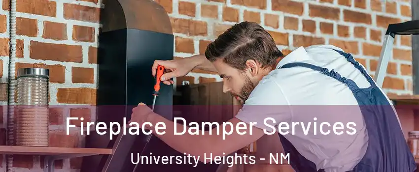 Fireplace Damper Services University Heights - NM