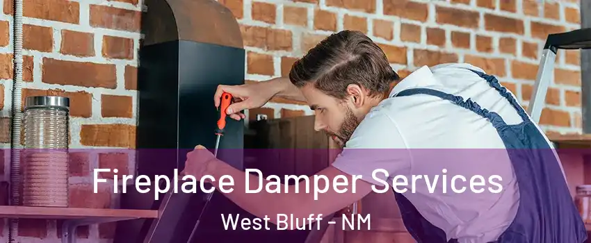 Fireplace Damper Services West Bluff - NM
