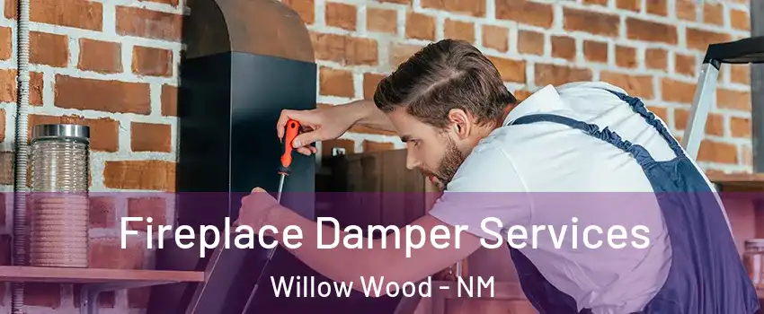Fireplace Damper Services Willow Wood - NM