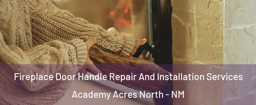 Fireplace Door Handle Repair And Installation Services Academy Acres North - NM