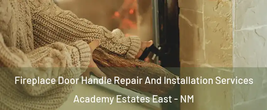 Fireplace Door Handle Repair And Installation Services Academy Estates East - NM