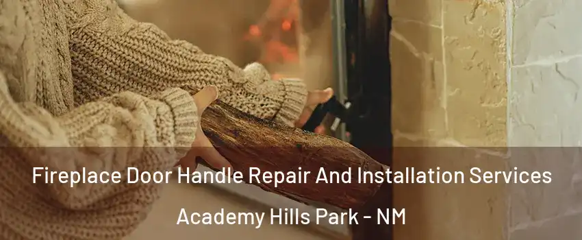 Fireplace Door Handle Repair And Installation Services Academy Hills Park - NM