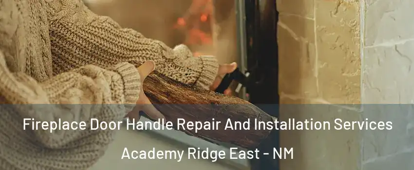 Fireplace Door Handle Repair And Installation Services Academy Ridge East - NM