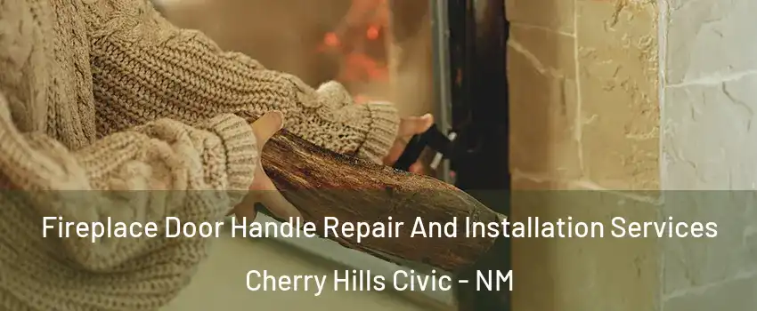Fireplace Door Handle Repair And Installation Services Cherry Hills Civic - NM