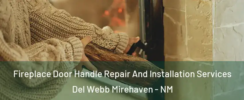 Fireplace Door Handle Repair And Installation Services Del Webb Mirehaven - NM