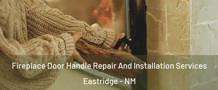 Fireplace Door Handle Repair And Installation Services Eastridge - NM
