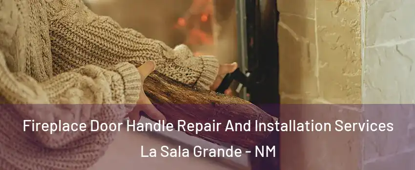 Fireplace Door Handle Repair And Installation Services La Sala Grande - NM