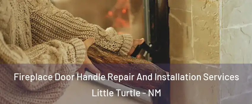 Fireplace Door Handle Repair And Installation Services Little Turtle - NM