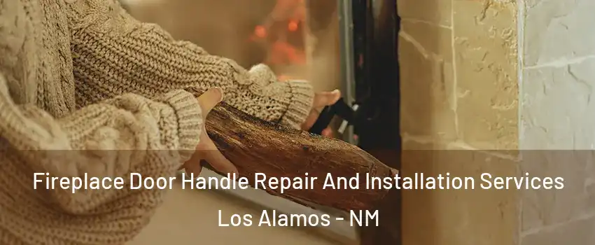 Fireplace Door Handle Repair And Installation Services Los Alamos - NM