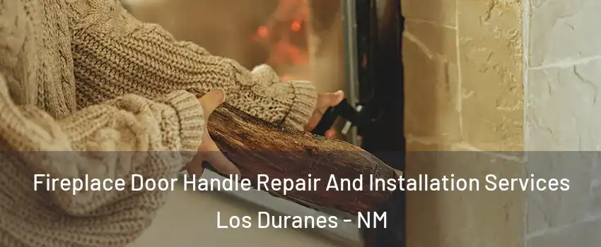 Fireplace Door Handle Repair And Installation Services Los Duranes - NM