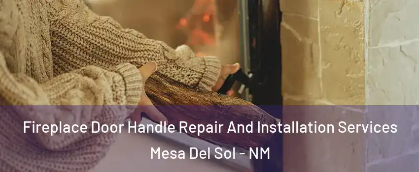 Fireplace Door Handle Repair And Installation Services Mesa Del Sol - NM