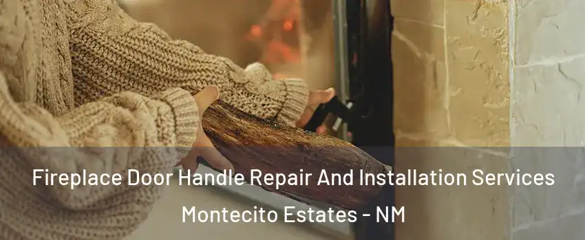Fireplace Door Handle Repair And Installation Services Montecito Estates - NM