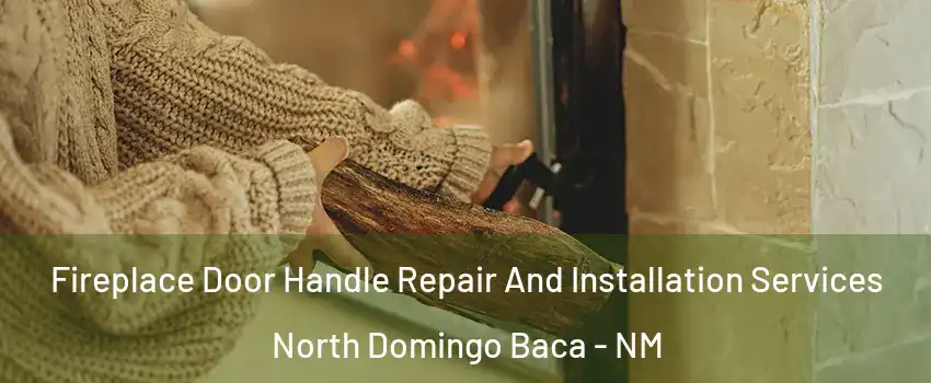 Fireplace Door Handle Repair And Installation Services North Domingo Baca - NM