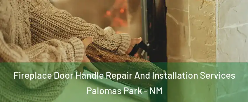 Fireplace Door Handle Repair And Installation Services Palomas Park - NM