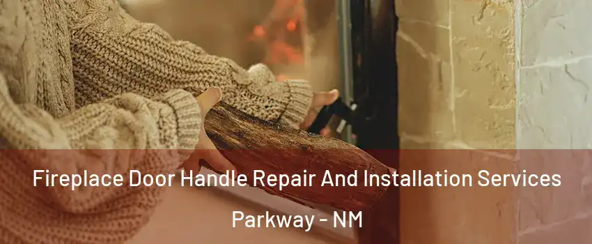 Fireplace Door Handle Repair And Installation Services Parkway - NM